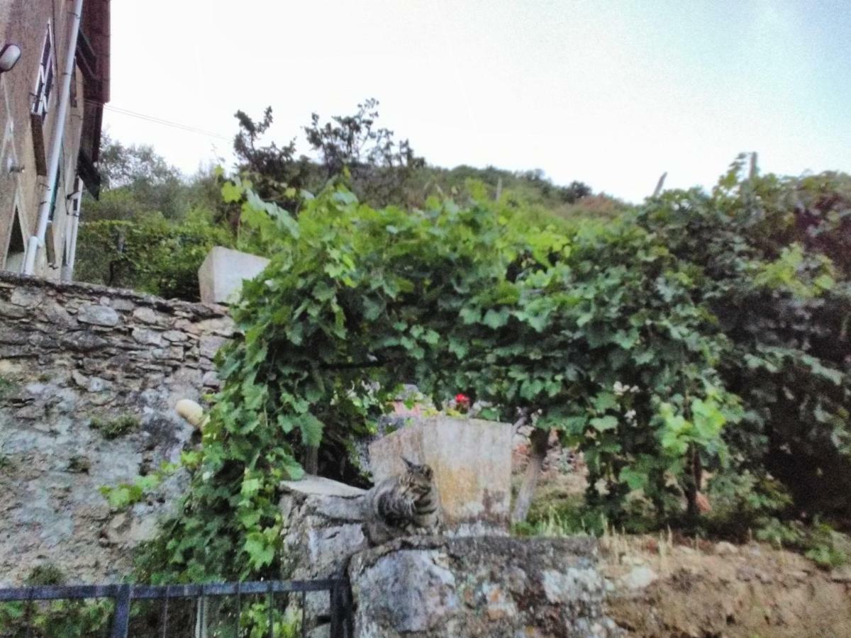 Casa Quaratica Riccò del Golfo di Spezia Exterior foto